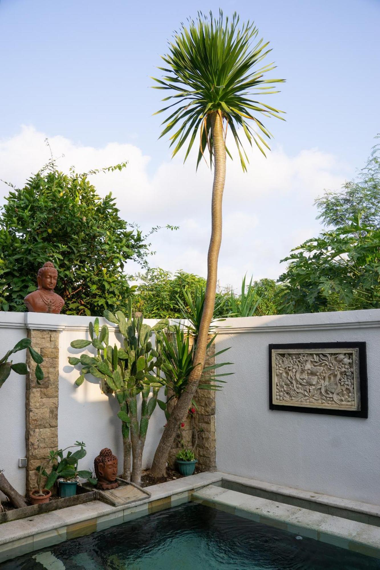 Hills House Villa By Sunnyrent - Jimbaran X Balangan X Gwk Exteriör bild