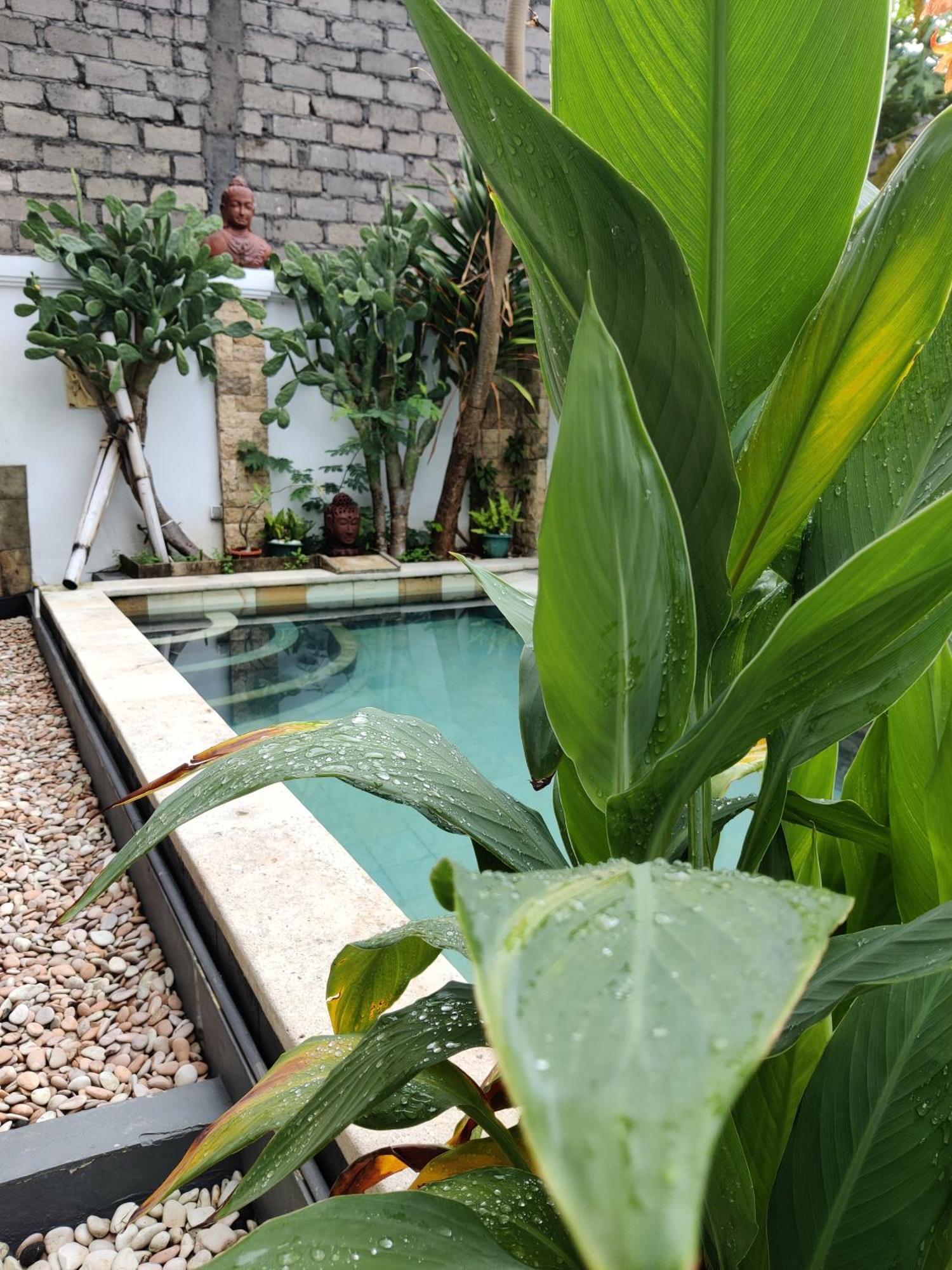 Hills House Villa By Sunnyrent - Jimbaran X Balangan X Gwk Exteriör bild